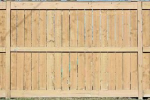 Close-up view of a cedar board-on-board privacy fence with vertical wooden panels